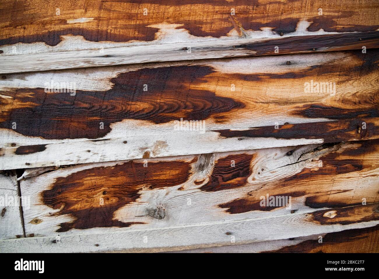 Gros plan d'un bâtiment en bois abîmé dans la ville fantôme de Coolidge, Montana. Banque D'Images