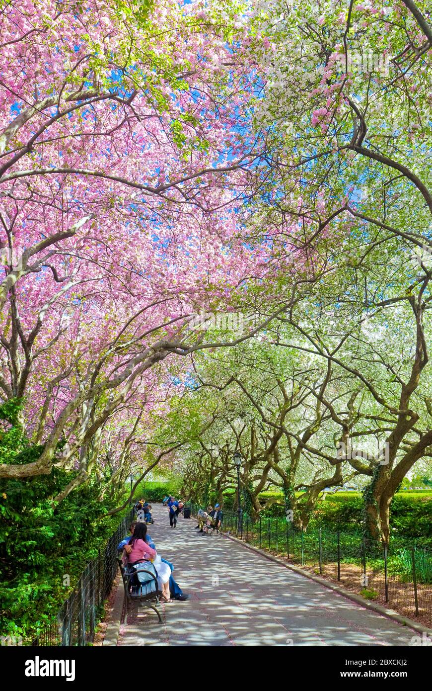 Spring Central Park New York Conservatory Garden Banque D'Images