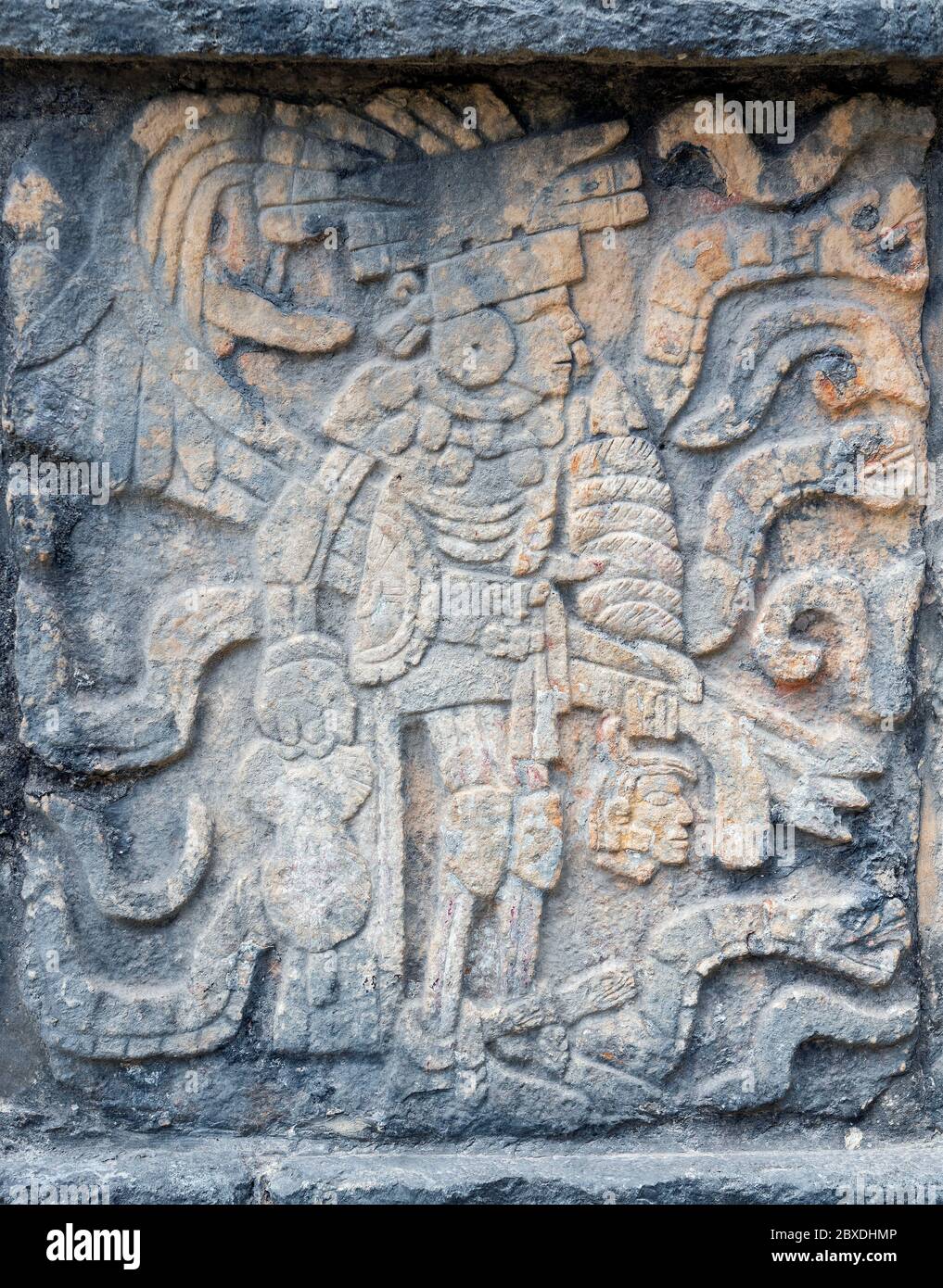 Bas relief d'un joueur de jeu de balle Maya avec protection de genou, coude et hanche et tête d'un joueur sacrifié dans la main gauche, Chichen Itza, Mexique. Banque D'Images