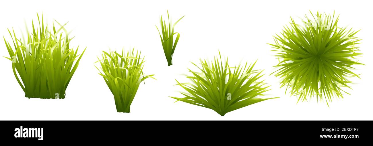 Ressort. Herbe verte, jeu d'icônes vecteur 3d réaliste Illustration de Vecteur