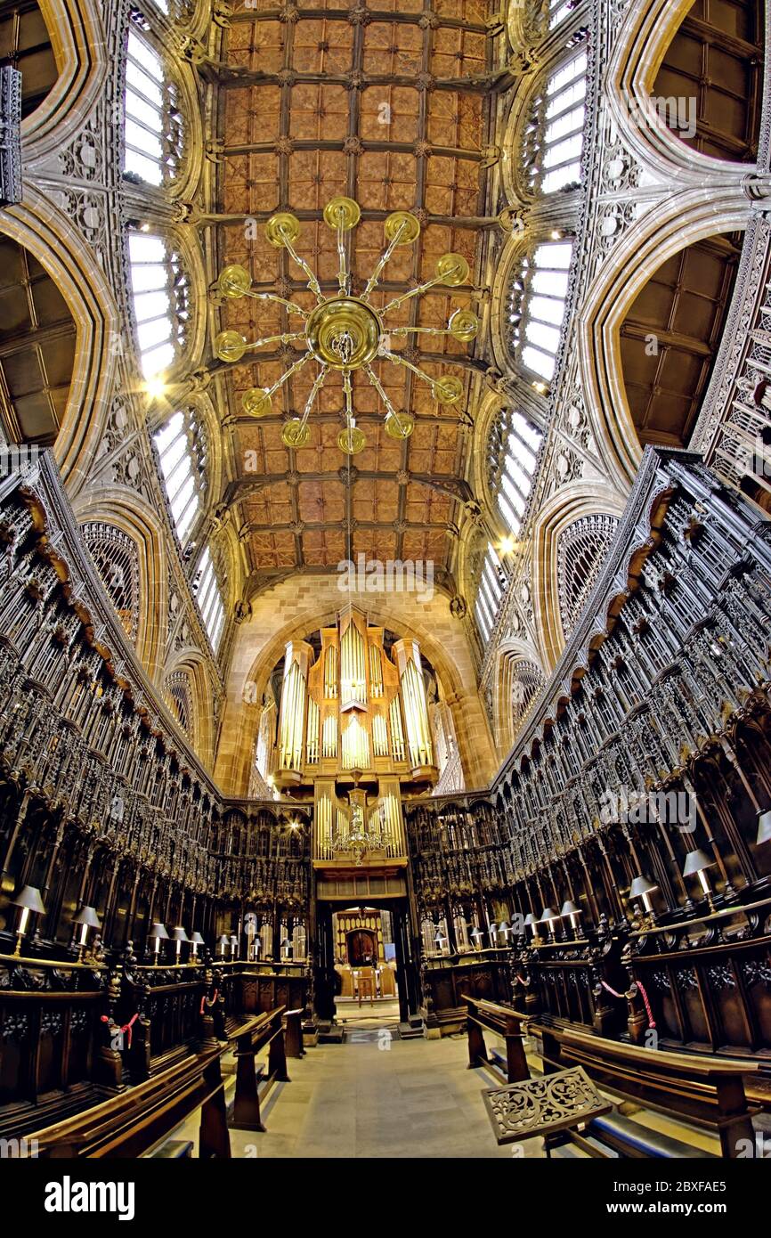 Le collégial chancel de la cathédrale de Manchester, conçu par John Wastell, avec ses stands de choeur, qui est à l'ouest loin du grand autel Banque D'Images