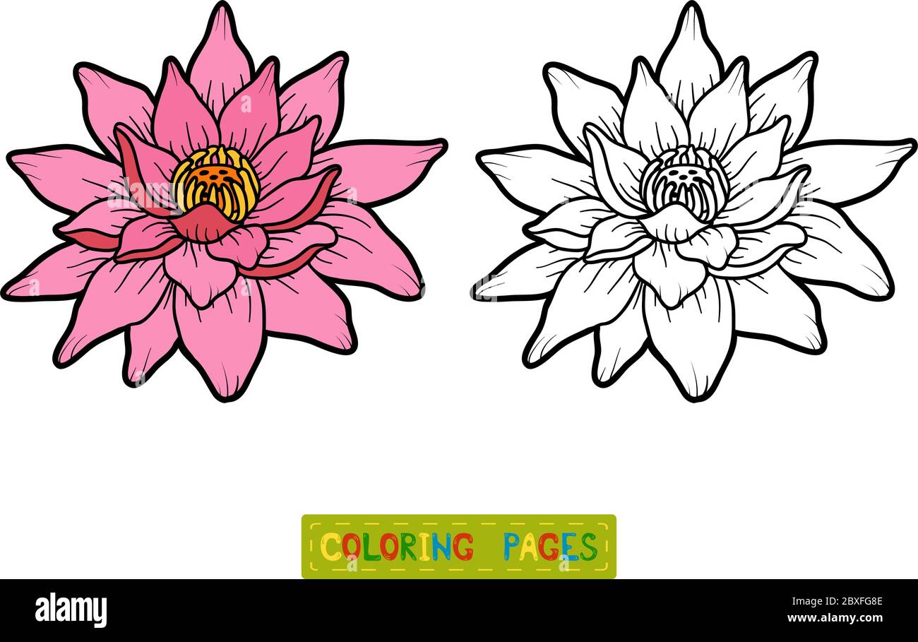 Livre de coloriage pour enfants, Lotus fleur Illustration de Vecteur