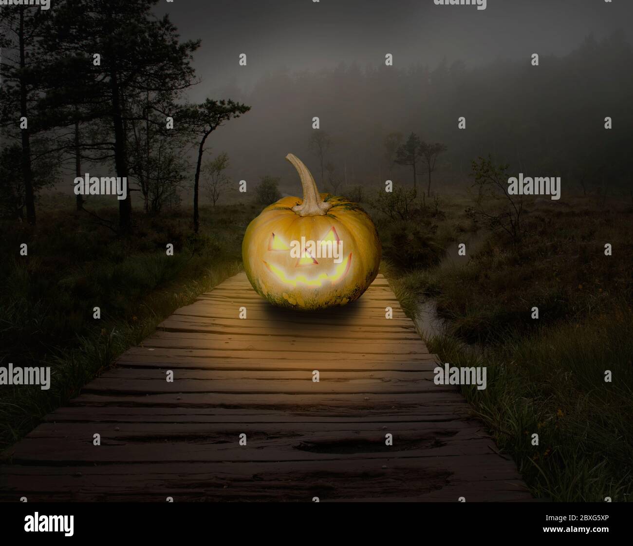 Citrouille d'Halloween dans la forêt sombre et épicée la nuit Banque D'Images