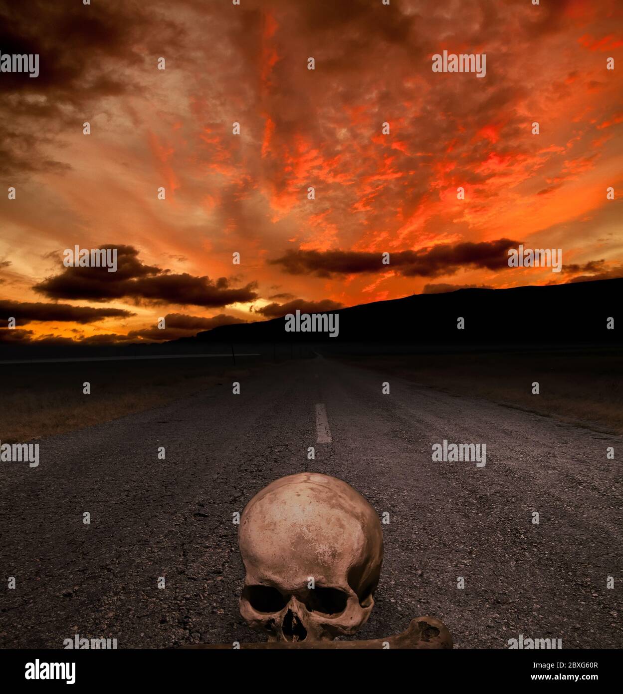 Fond d'Halloween - crâne sur la route et du coucher du soleil Banque D'Images