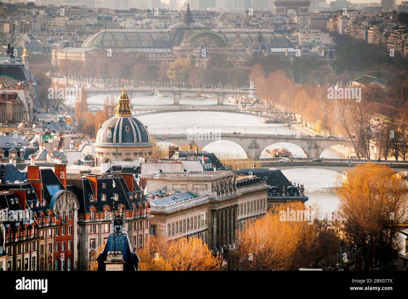 La vue plongeante de Paris inclut les monuments emblématiques du Grand Palais en dôme de verre, de l'Arc de Triomphe, de l'Académie française et des ponts de la Seine, en France. Banque D'Images La vue plongeante de Paris inclut les monuments emblématiques du Grand Palais en dôme de verre, de l'Arc de Triomphe, de l'Académie française et des ponts de la Seine, en France. Banque D'Images