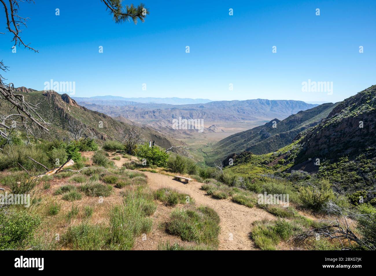 Paysage naturel depuis la vue de Storm Canyon. Mount Laguna, San Diego County, Californie, États-Unis. Banque D'Images