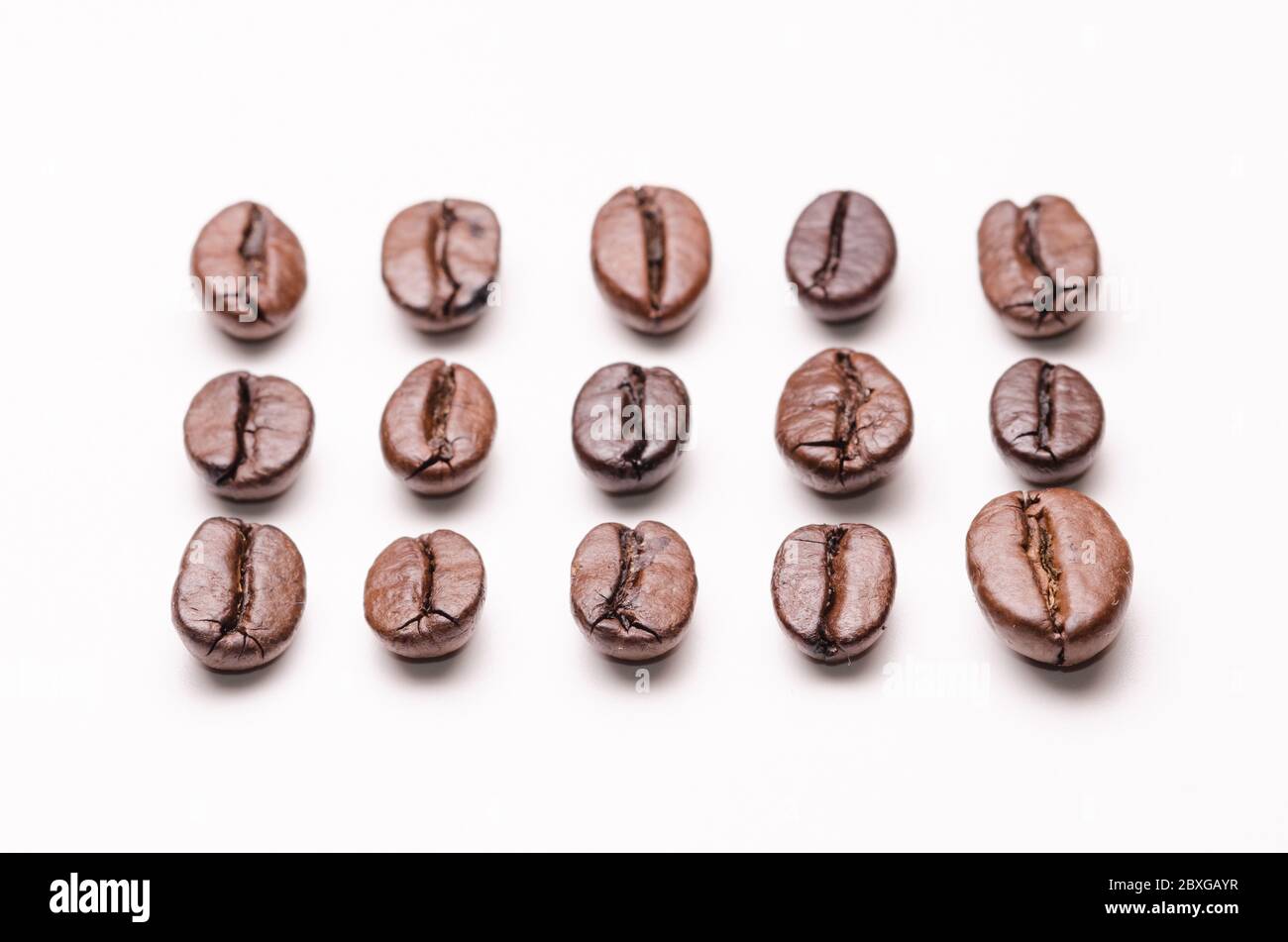 Macro gros plan des grains de café torréfiés sur fond blanc, en ligne, aligné sur l'ordre, concept ocd conceptuel, symétrie Banque D'Images