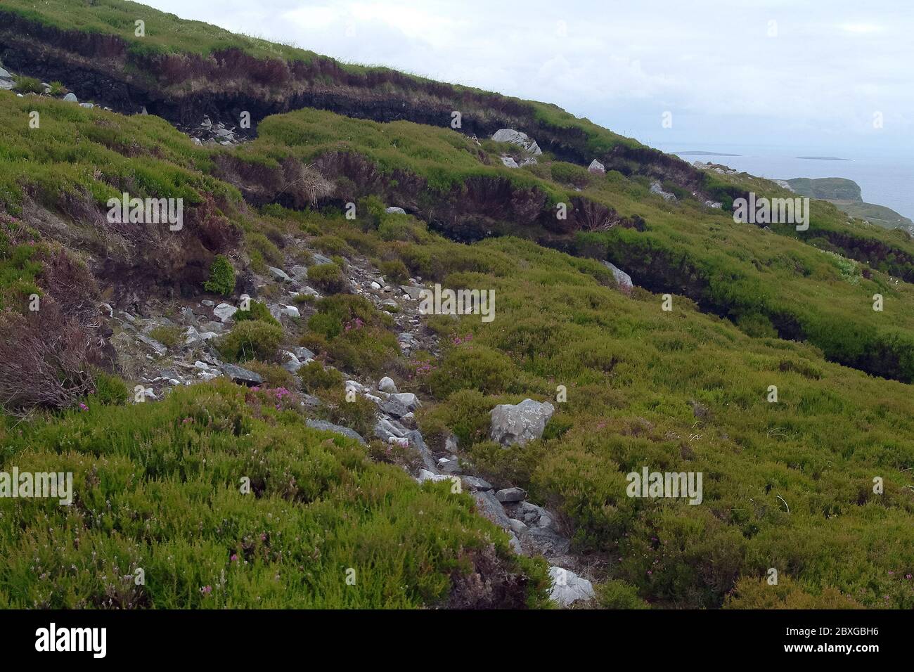 Horn Head, Corran Binne, Comté de Donegal, Irlande, Éire, Irland, Írország, Europe Banque D'Images