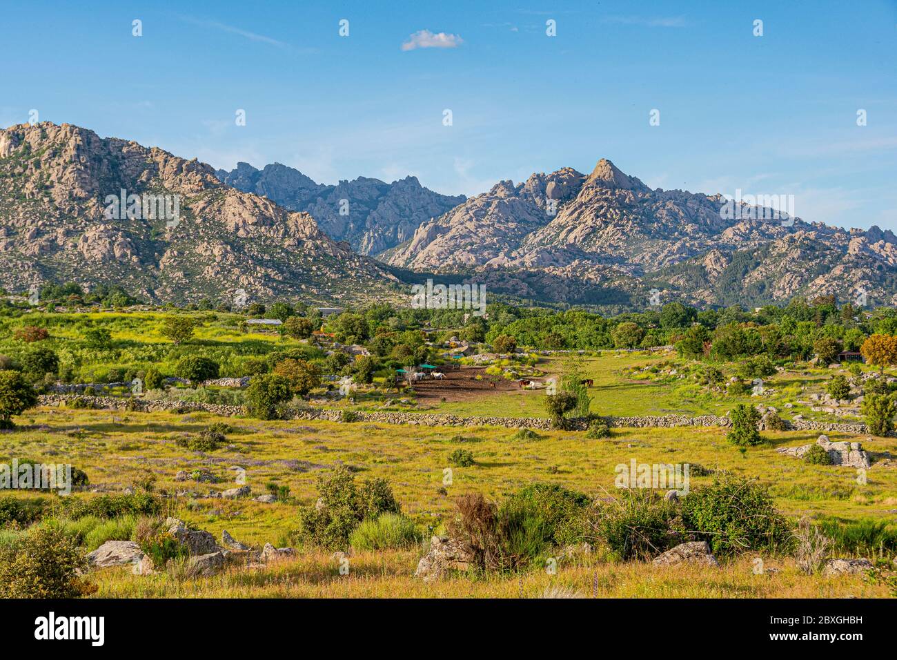 Coucher de soleil paysage d'une vallée avec des chevaux et du bétail dans la Sierra de Guadarrama dans un endroit connu sous le nom de la Pedriza, avec le sommet de montagne connu sous le nom de l'He Banque D'Images