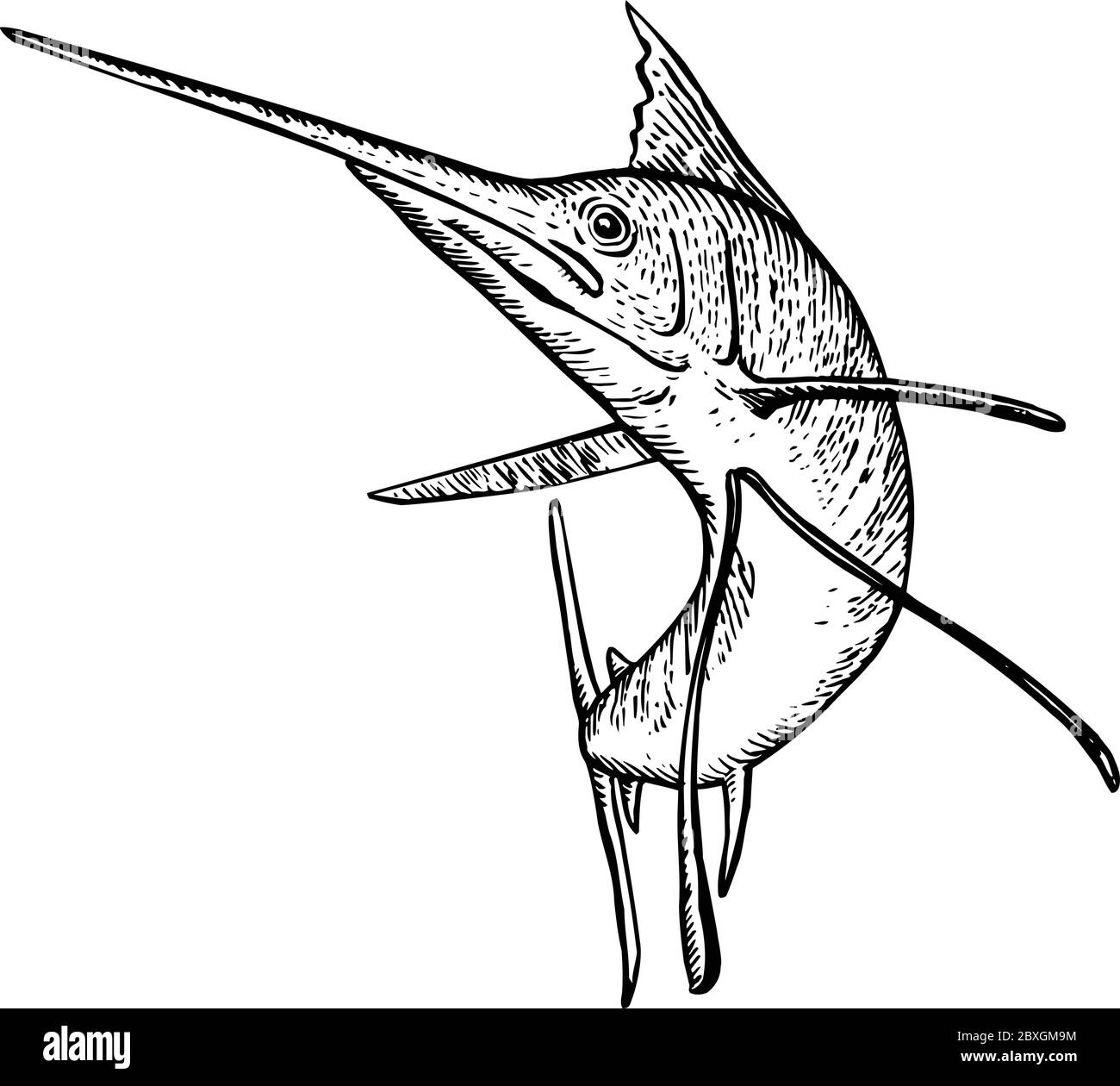 Illustration rétro de style boisés d'un voilier, un poisson du genre Istiophorus de billfish vivant dans les zones de mer plus froides, en sautant vers le haut vu de l'avant o Illustration de Vecteur