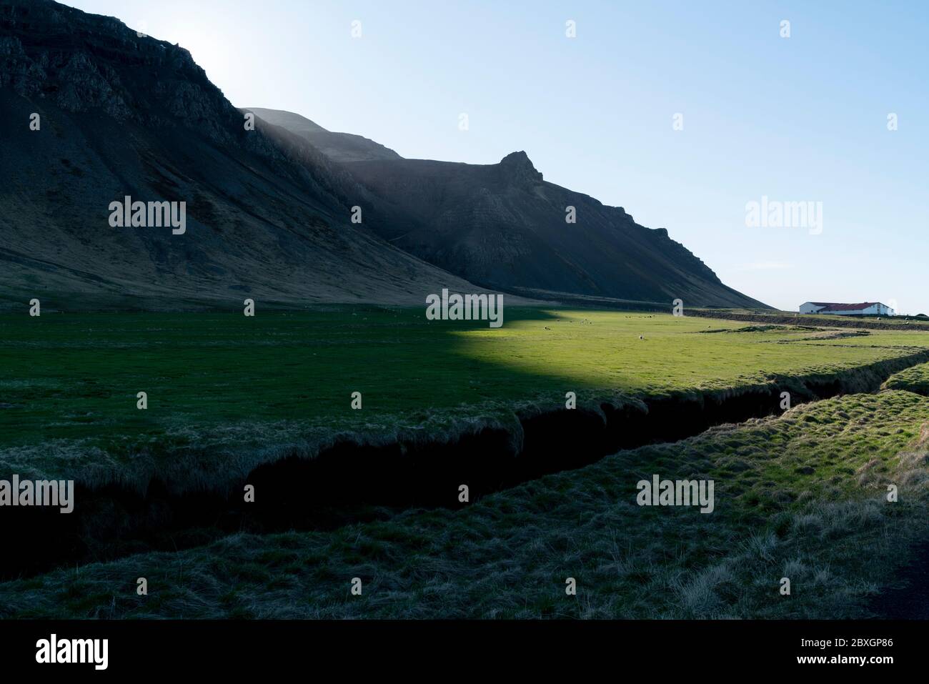 Moutons avec agneaux à Bjarnarhofen, Snaefellsnes, Islande - Kindur með lömb við Bjarnarhöfn á Snæfellsnesi Banque D'Images