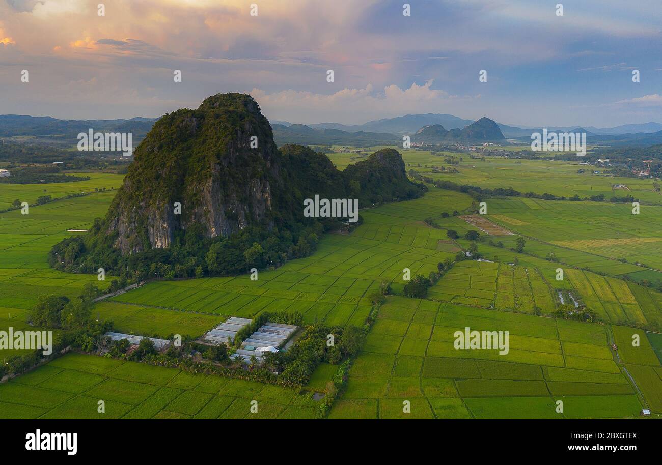 Vue aérienne des terres agricoles/riice en Thaïlande. Photographie aérienne Banque D'Images