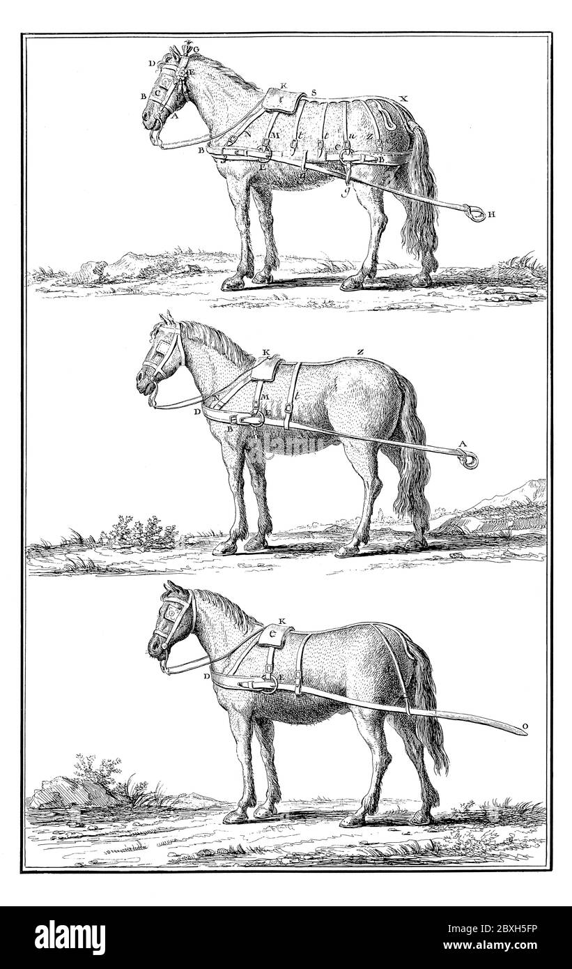 illustration du xviiie siècle de . Publié dans 'A Diderot Pictorial Encyclopedia of Trades and Industry. Fabrication et arts techniques en plaques S Banque D'Images