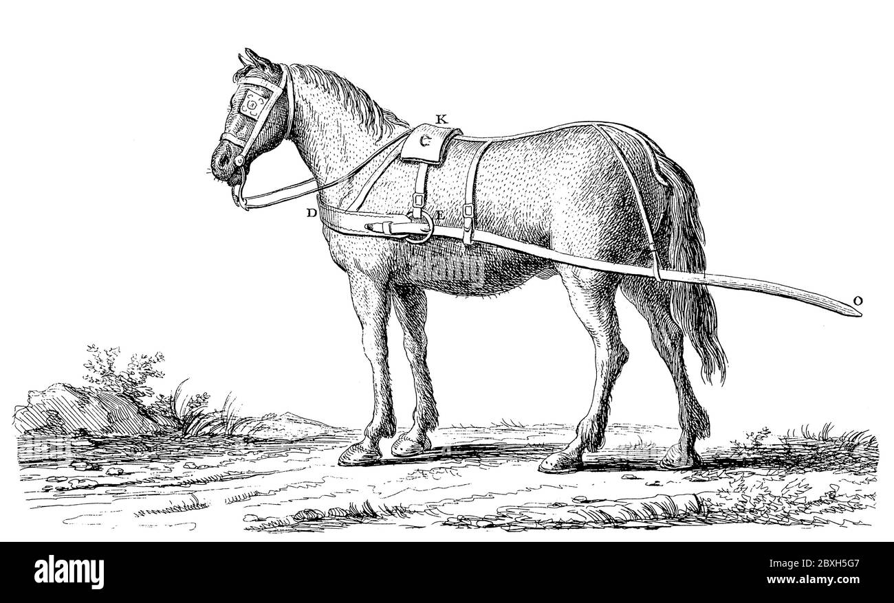 18th siècle illustration de . Publié dans 'A Diderot Pictorial Encyclopedia of Trades and Industry Banque D'Images