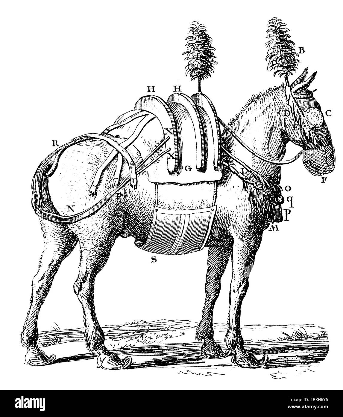 illustration du xviiie siècle d'une selle de cheval. Publié dans 'A Diderot Pictorial Encyclopedia of Trades and Industry. Fabrication et technique Banque D'Images