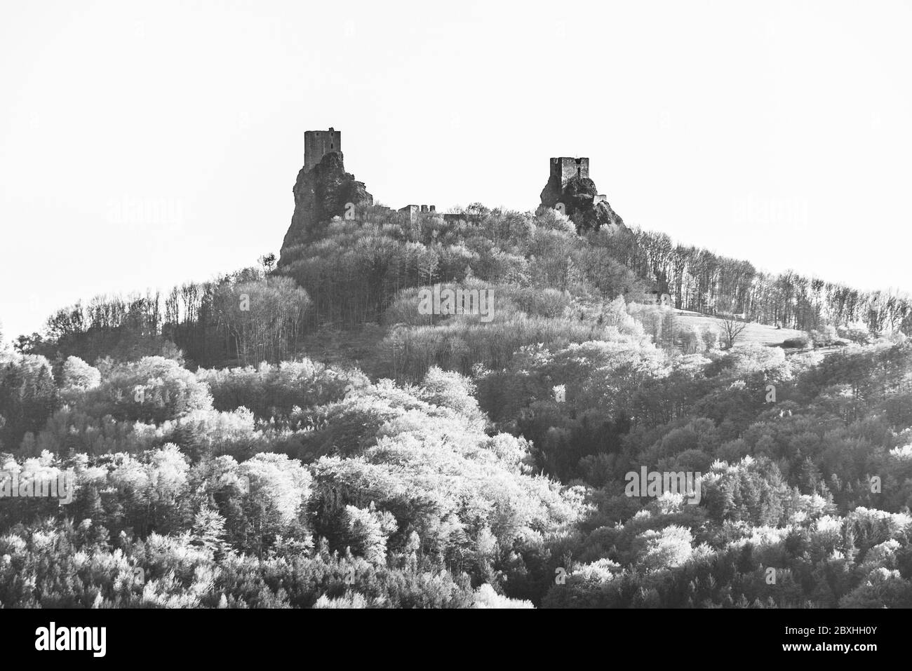 Les ruines du château de Trosky. Deux tours de l'ancien château médiéval sur la colline. Paysage de Paradis tchèque: Cesky raj, République tchèque. Image en noir et blanc. Banque D'Images