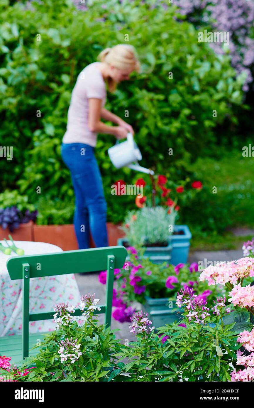 Femme l'arrosage des plantes dans le jardin Banque D'Images