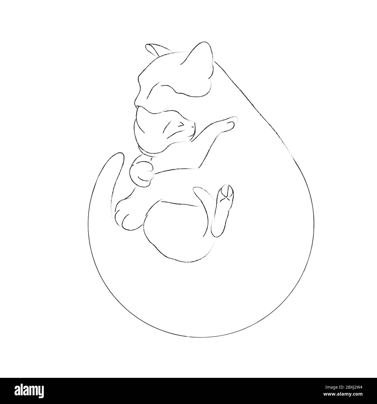 Chat de mère et petit chaton, câlin tendre, amour Banque D'Images