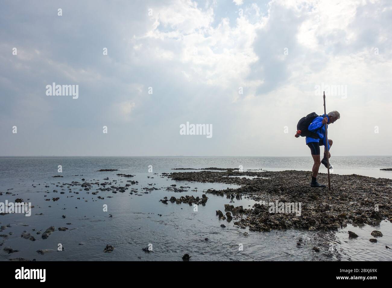 Randonnée à terre (Wadloopen, Wattwandern, Vadehavsvandring) entre les pays-Bas continentaux (Frise) et l'île d'Ameland Banque D'Images