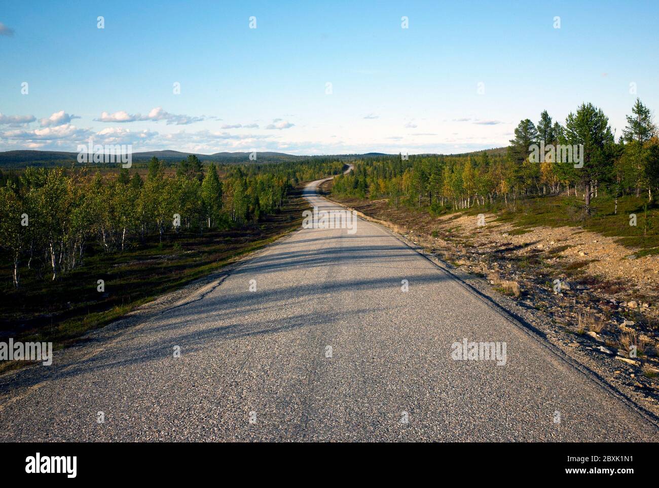 Photographie couleur une route sinueuse à travers une forêt, près du lac Inari, Finlande, Scandinavie, 2019. Banque D'Images