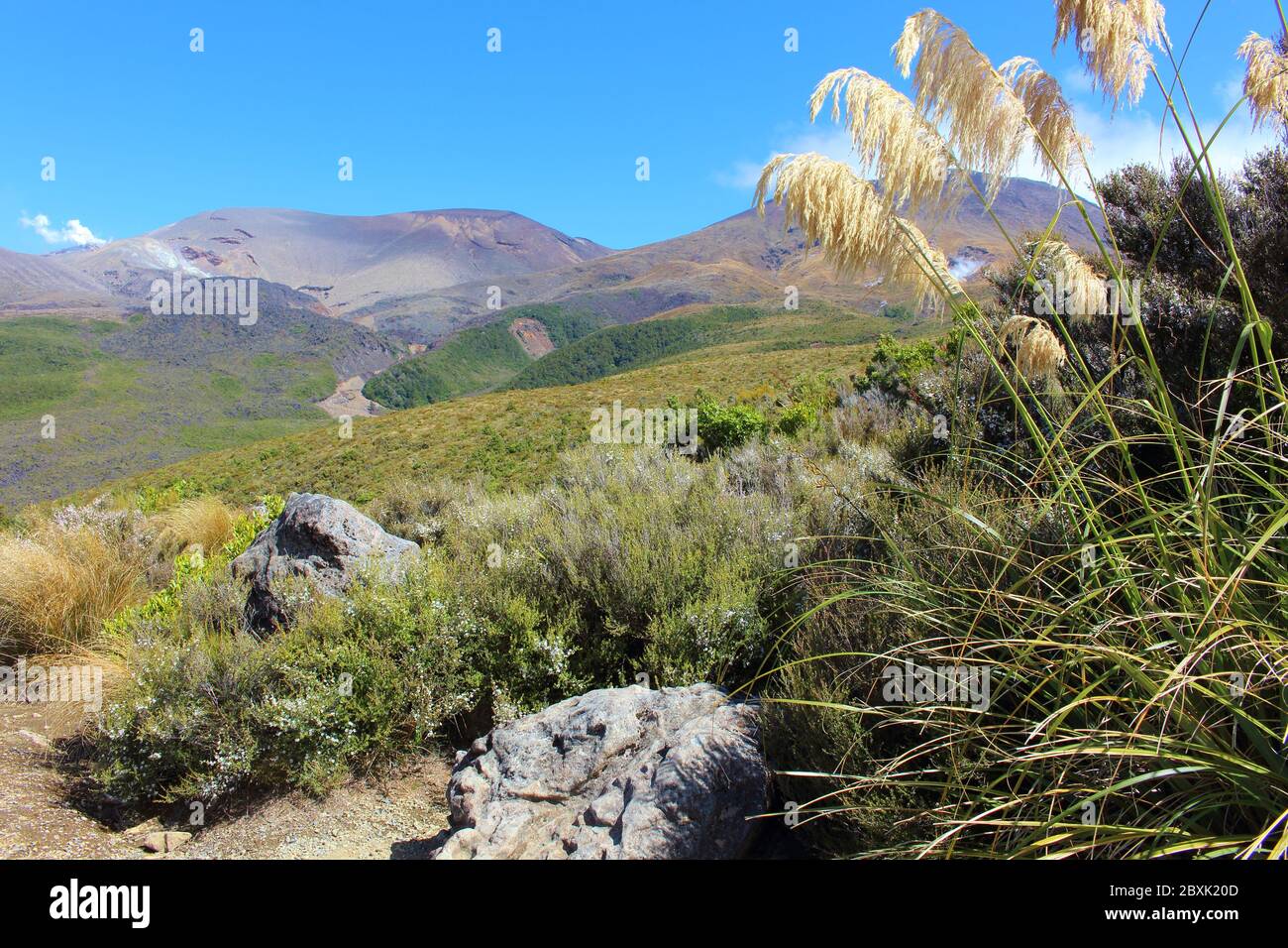 Magnifique paysage le long de Tongariro Alpine Crossing en Nouvelle-Zélande avec de hautes montagnes et des forêts vertes. Banque D'Images