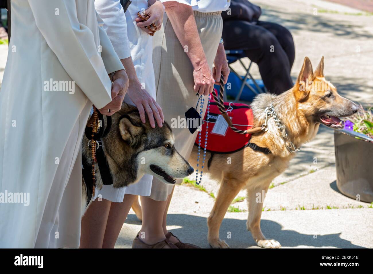 Detroit, Michigan, États-Unis. 7 juin 2020. L'archevêque catholique de Detroit, Allen Vigneron, a dirigé un rosaire pour la justice raciale à l'extérieur de Sainte-Anne Basilique Anne. Plusieurs sœurs Felician ont assisté avec leurs chiens de service. L'événement a eu lieu après deux semaines de protestations au sujet du meurtre par la police de George Floyd à Minneapolis. Les paroissiens présents ont été invités à pratiquer la distanciation sociale et à porter des masques en raison de la pandémie du coronavirus. Crédit : Jim West/Alay Live News Banque D'Images