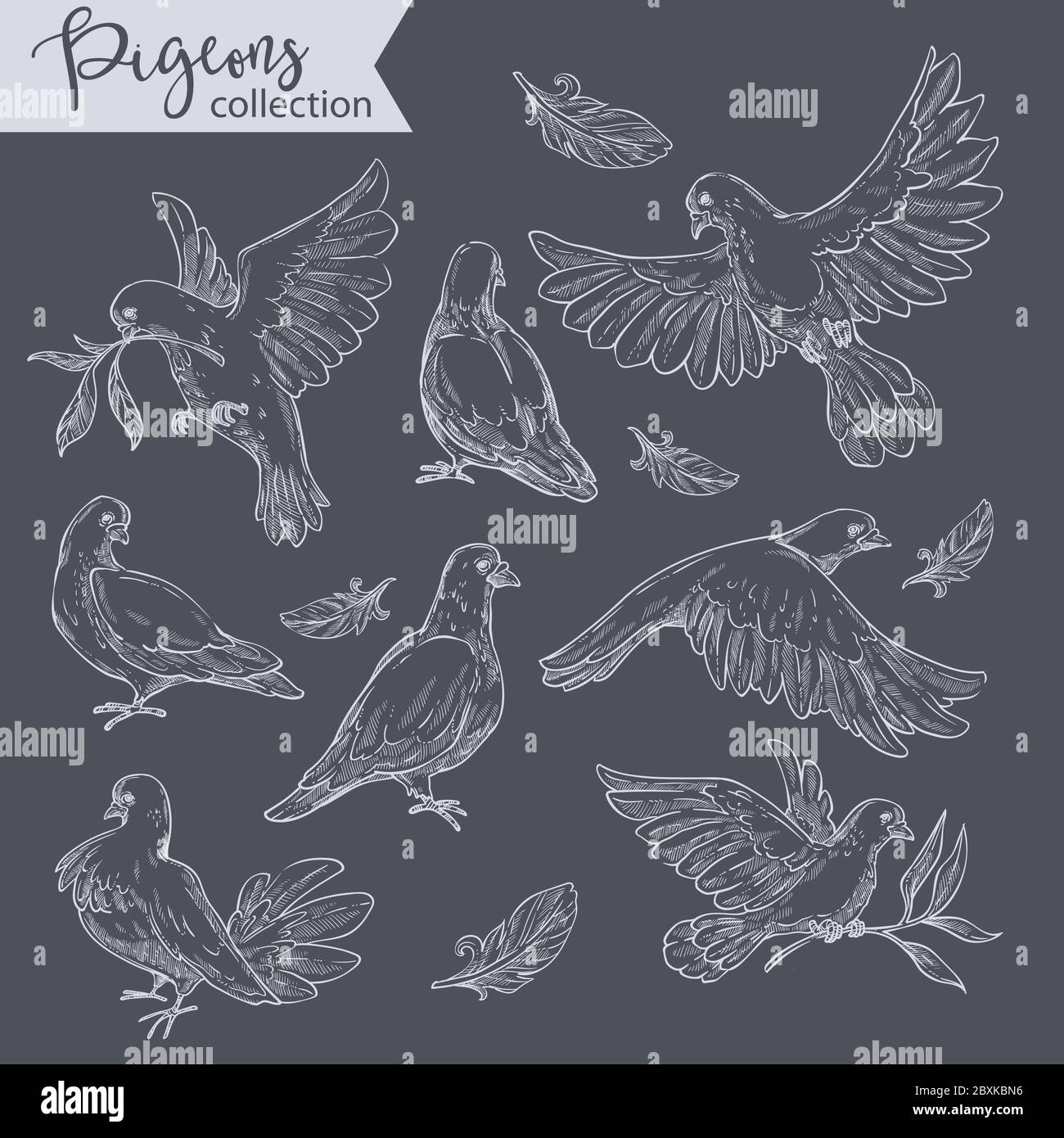 Colombes assises et volantes, croquis monochromes de pigeons Illustration de Vecteur