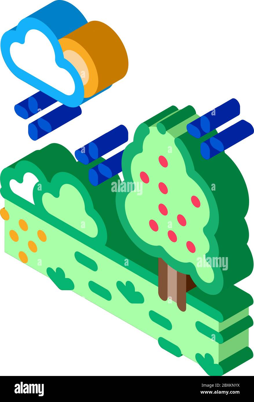 territoire de forêt bien entretenue icône isométrique illustration vectorielle Illustration de Vecteur