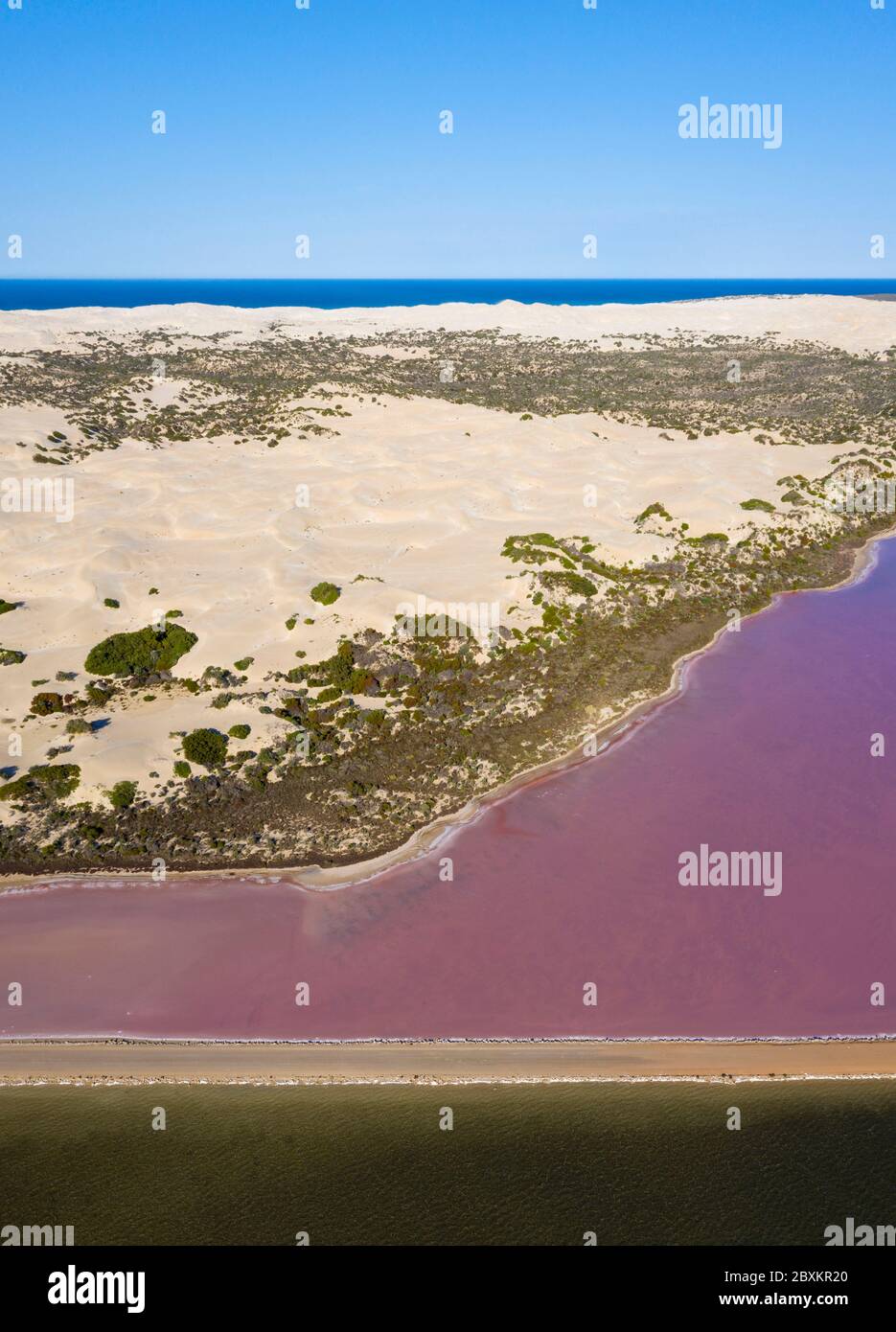 Vue aérienne du lac MacDonnell, un lac naturel de sel rose situé près de Penong en Australie méridionale Banque D'Images