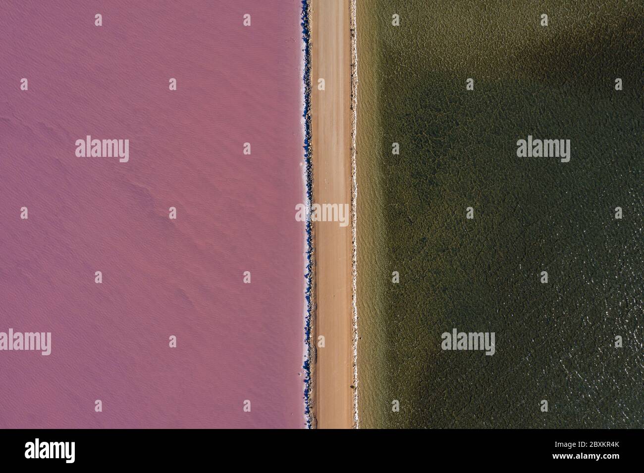 Vue aérienne du lac MacDonnell, un lac naturel de sel rose situé près de Penong en Australie méridionale Banque D'Images