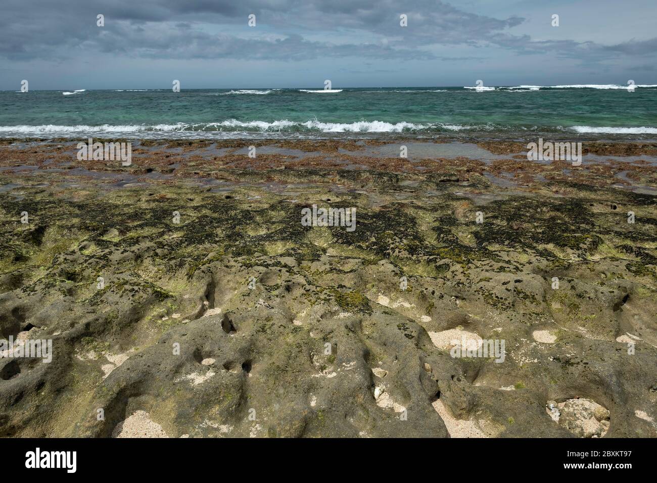 De corail dans les eaux peu profondes avec des vagues dans l'arrière-plan Banque D'Images