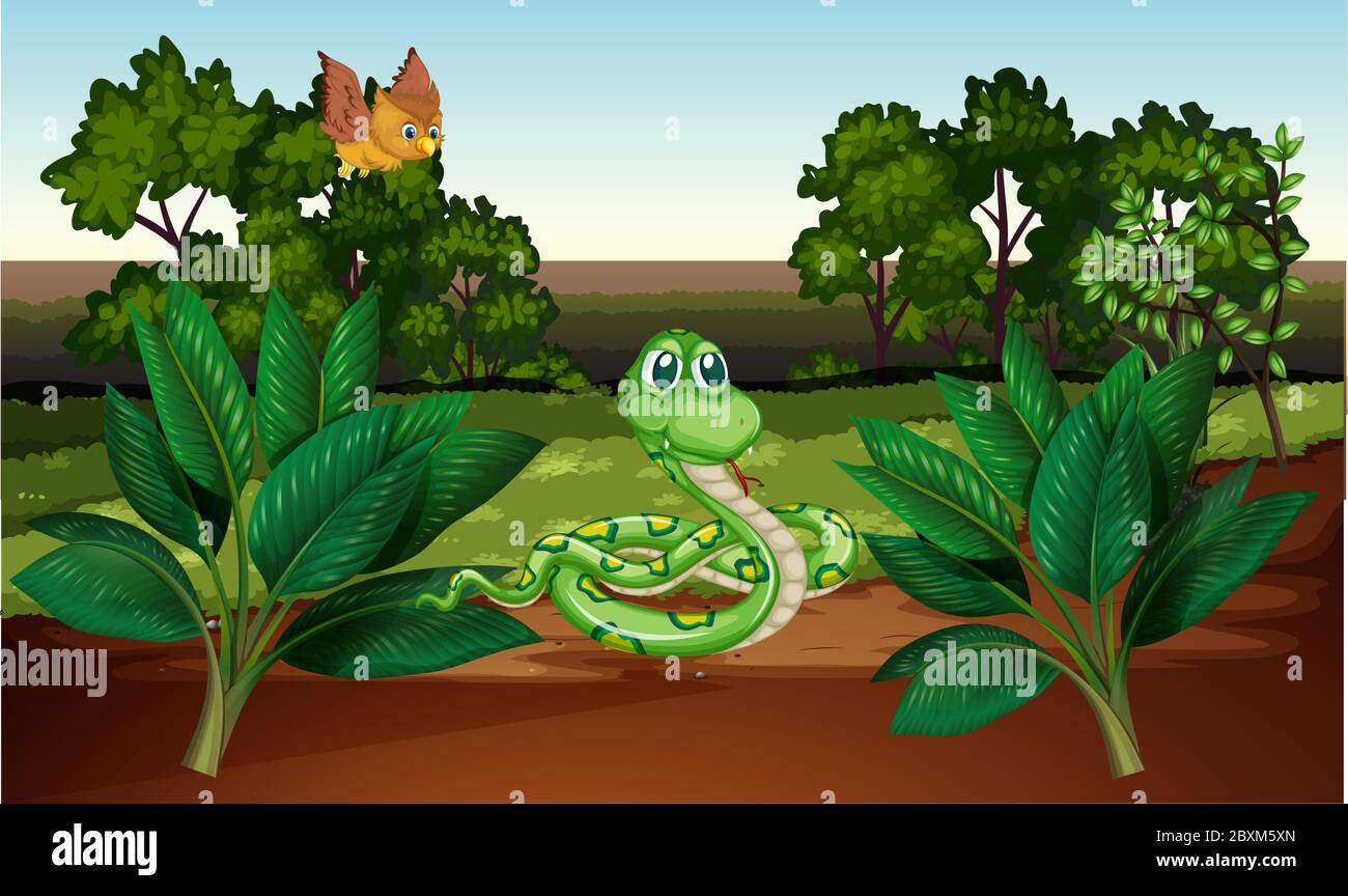 serpent et hibou jouent ensemble dans la forêt Illustration de Vecteur