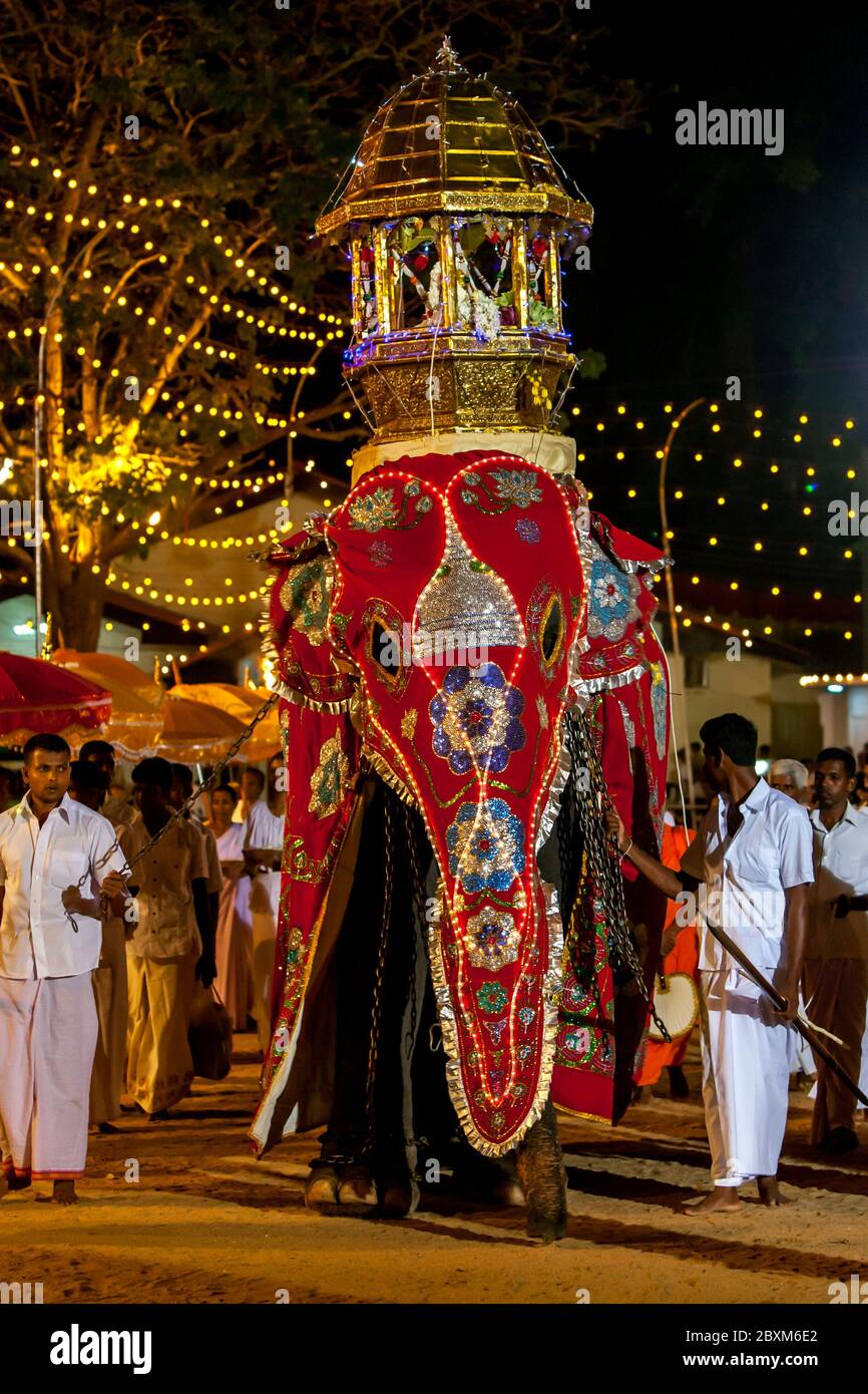 Un éléphant cérémonial est dirigé par des mahouts à travers la procession au Festival combiné hindou et bouddhiste Kataragama au Sri Lanka. Banque D'Images