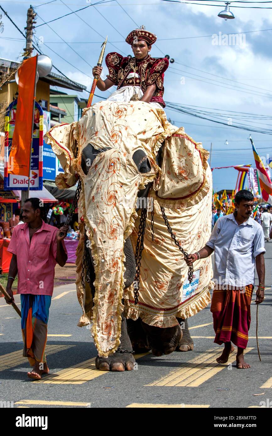 Un éléphant cérémonial habillé d'un manteau lumineux et portant un gardien de temple marche le long de la route côtière pendant le Hikkaduwa Perahera au Sri Lanka. Banque D'Images