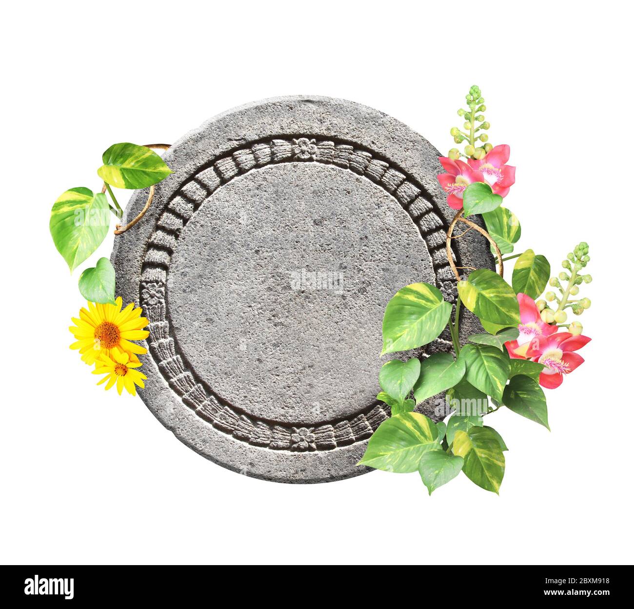 Cadre rond en pierre sculptée avec ornements floraux et fleurs, lianes et feuilles de plantes tropicales. Panneau de la jungle en pierre. Isolé sur fond blanc Banque D'Images