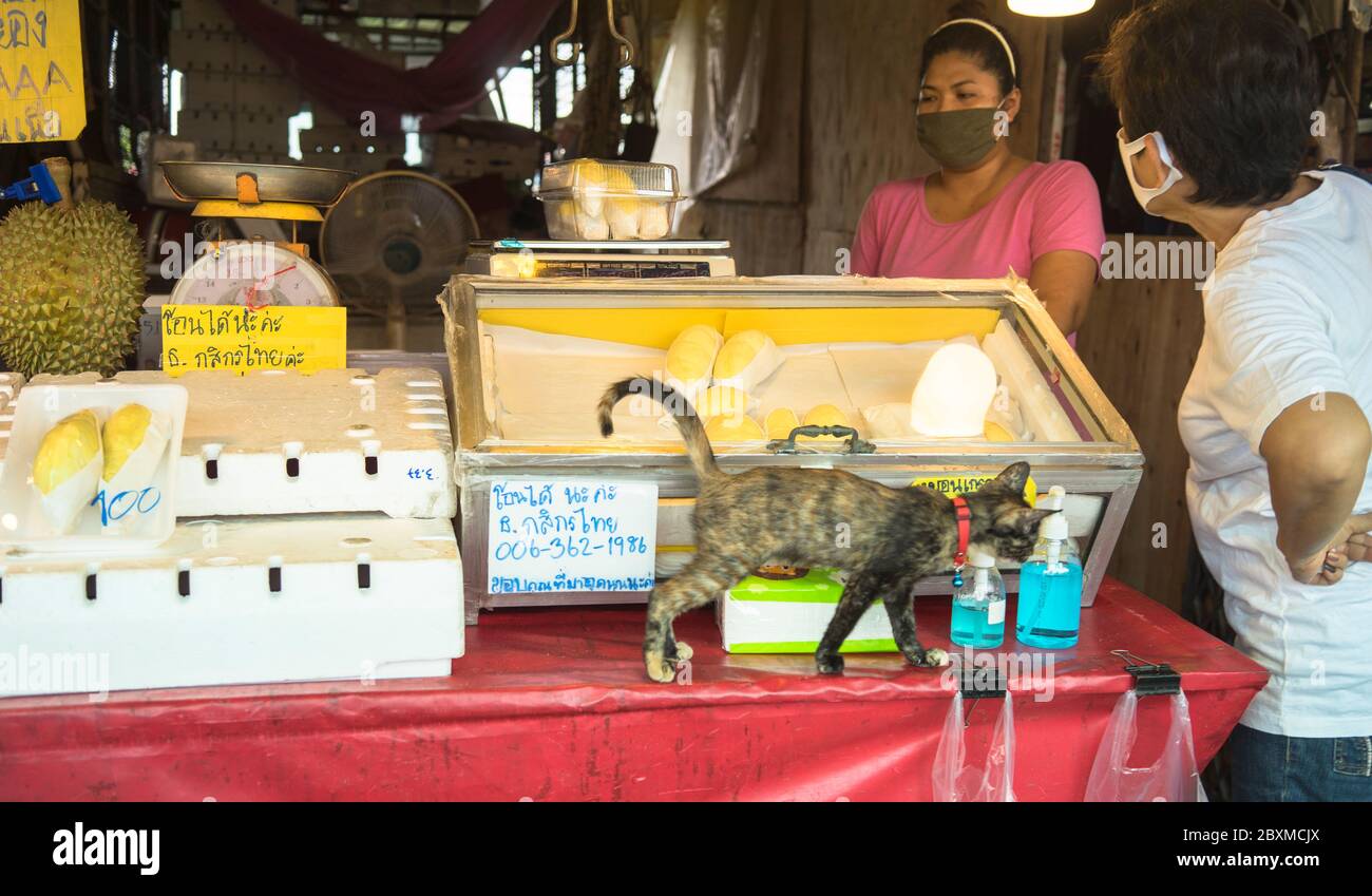 Négocier le prix dans la boutique pour obtenir des duriens à Bangkok Thaïlande Banque D'Images