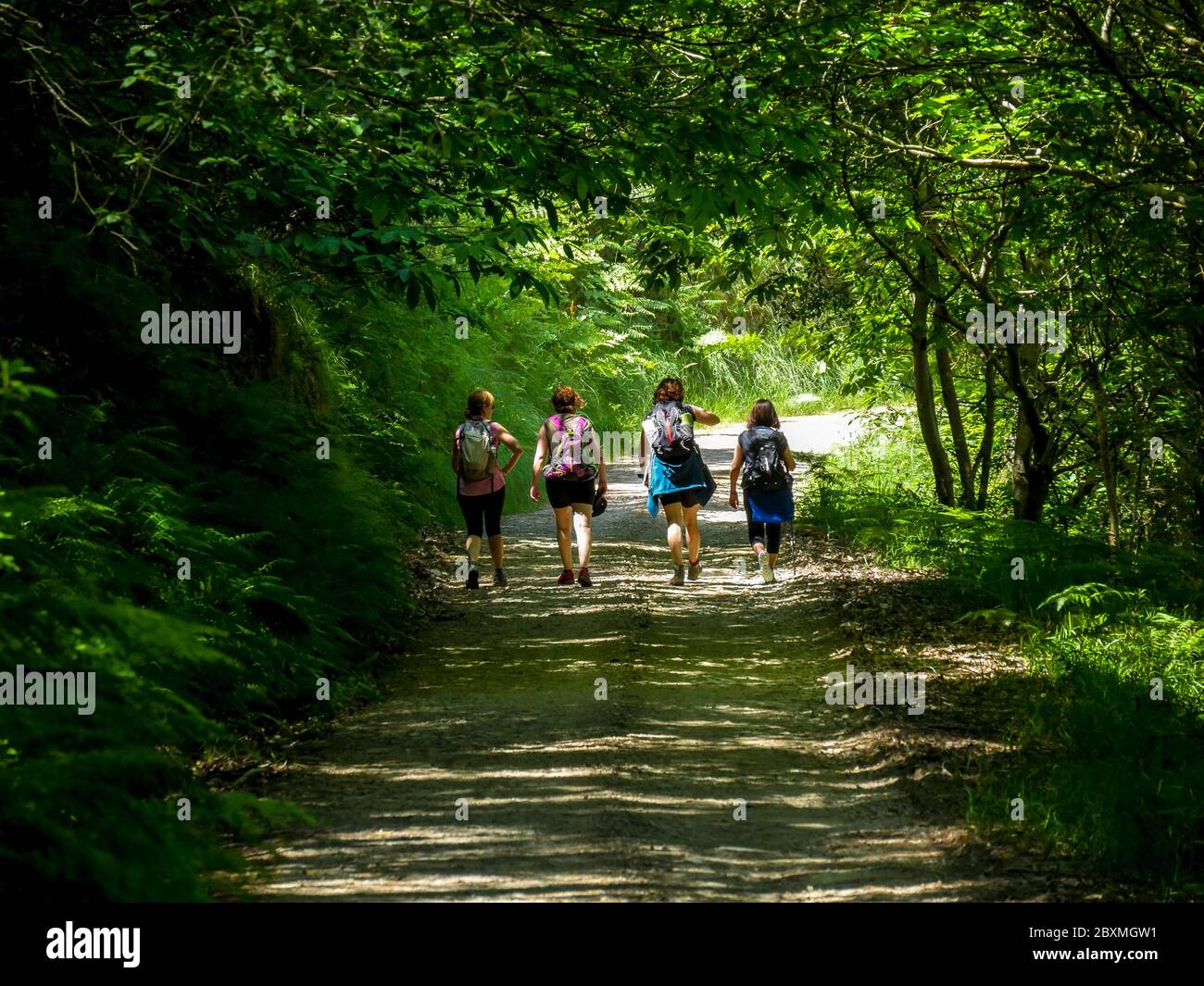 Un groupe de femmes vont faire de la randonnée dans les premiers jours du printemps (Asturies / Espagne) Banque D'Images