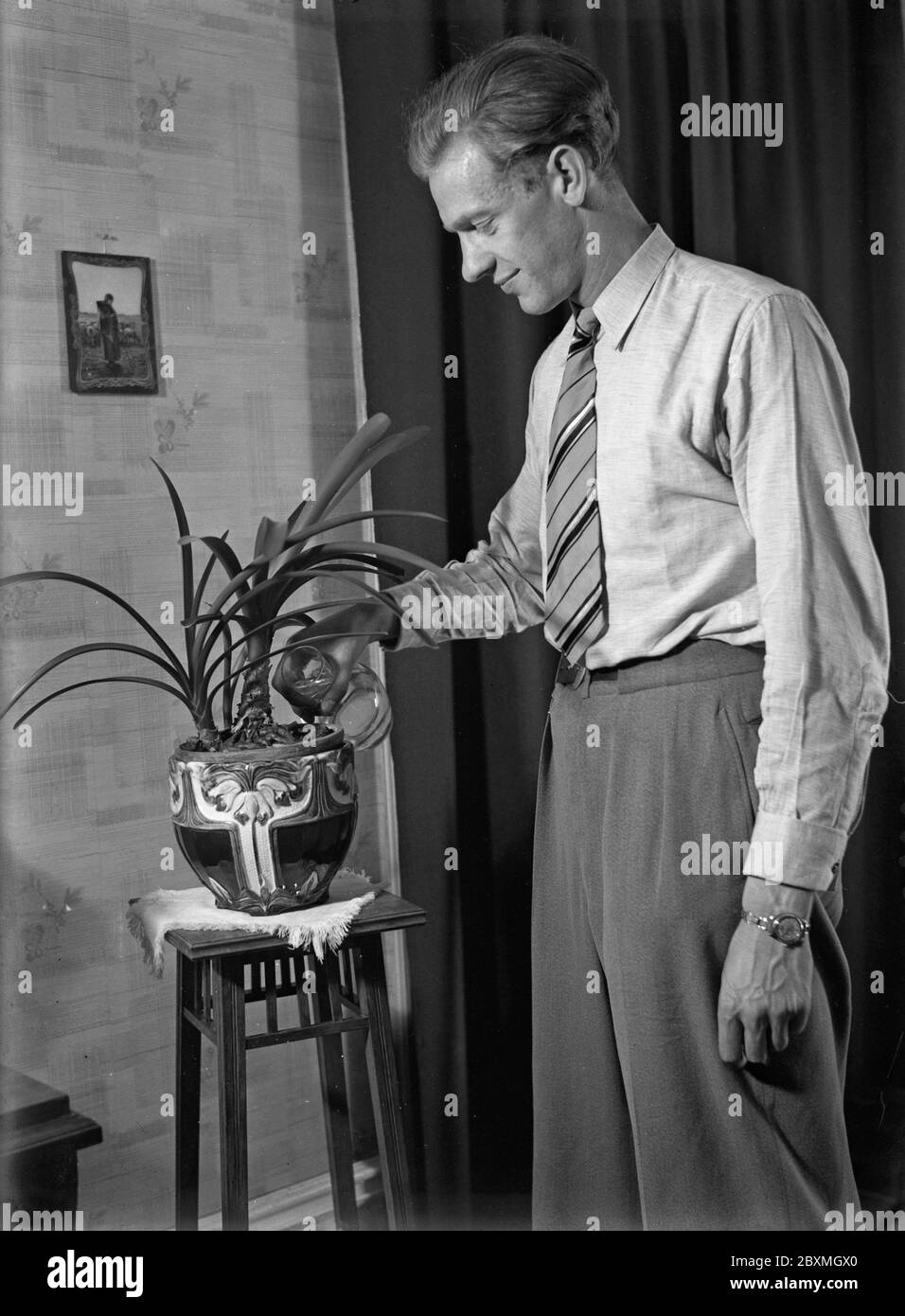 Dans les années 1940. L'athlète suédois Åke Ödmark à la maison arroser ses plantes. Suède juin 1940 Kristoffersson réf. 149-12,15 Banque D'Images