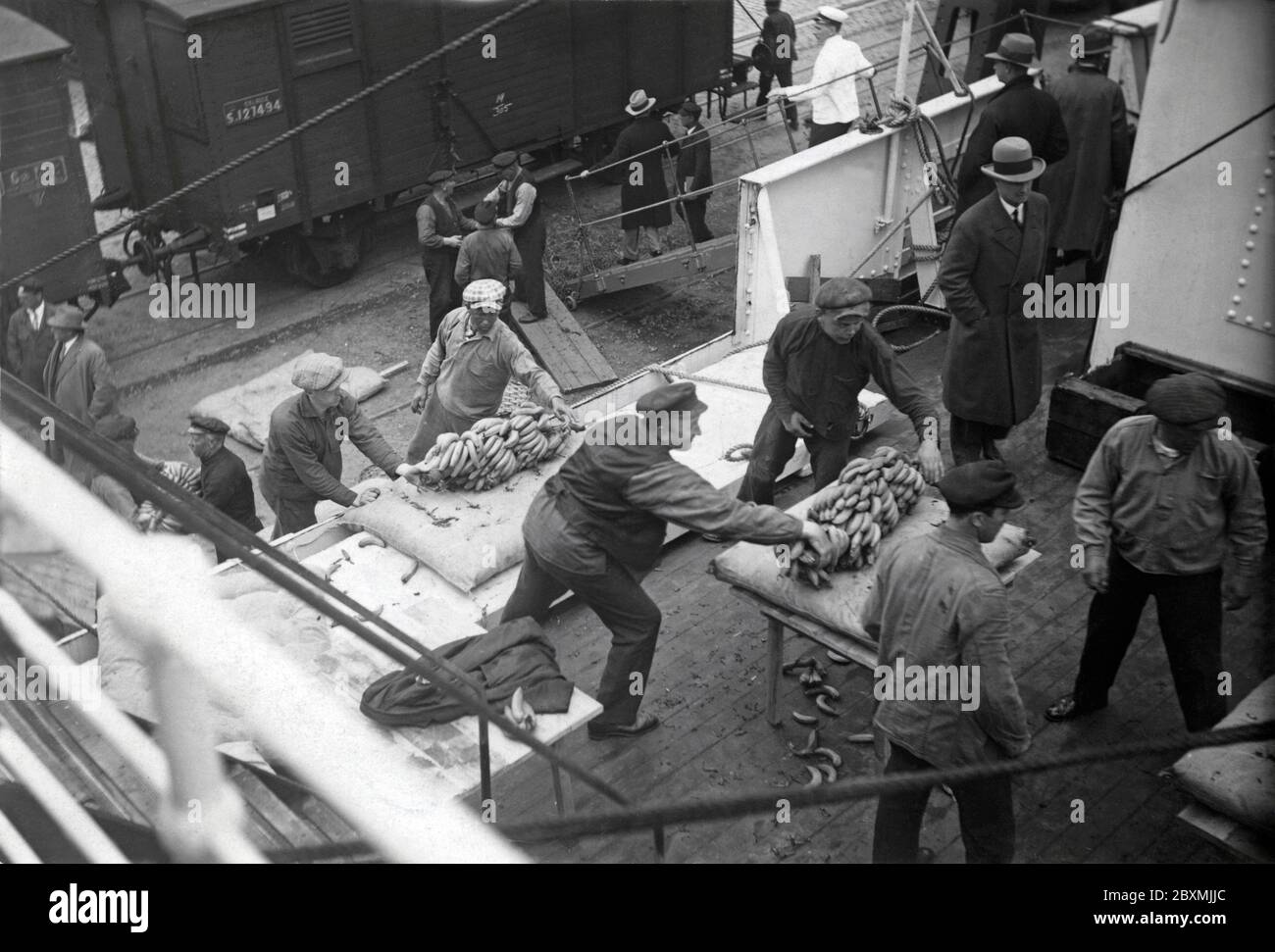 Les travailleurs aux quais. Des hommes du port de Göteborg déchargent les bananes d'un navire qui vient d'arriver des Antilles. Swedish Banan kompaniet a été la première entreprise à importer des bananes en suède. La première fois que cela s'est produit, c'était le 27 1909 février. Photographie prise dans les années 1930. Banque D'Images