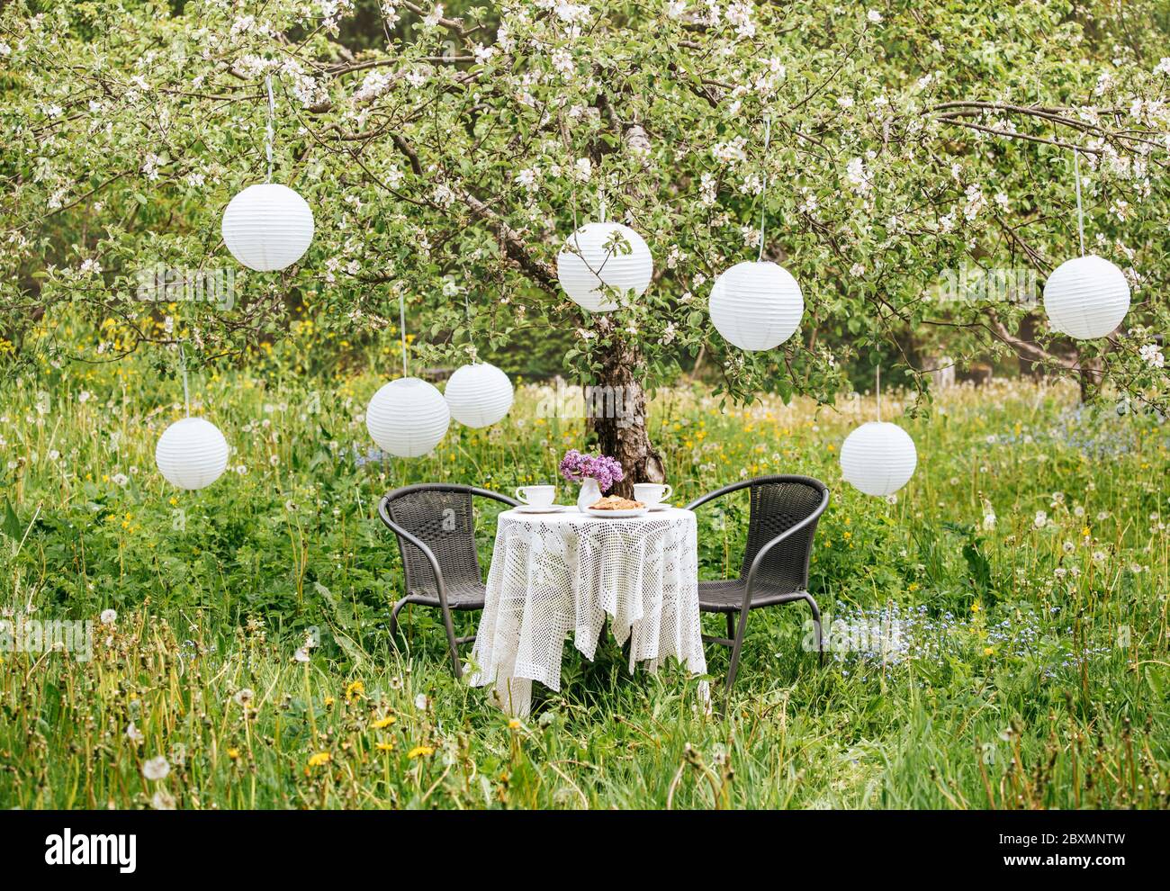 Décoration mignonne avec meubles de jardin, deux tasses à thé et gâteau sur une table. Beaucoup de lanternes en papier chinois accrochées à des pommiers en fleur pour la décoration. Banque D'Images