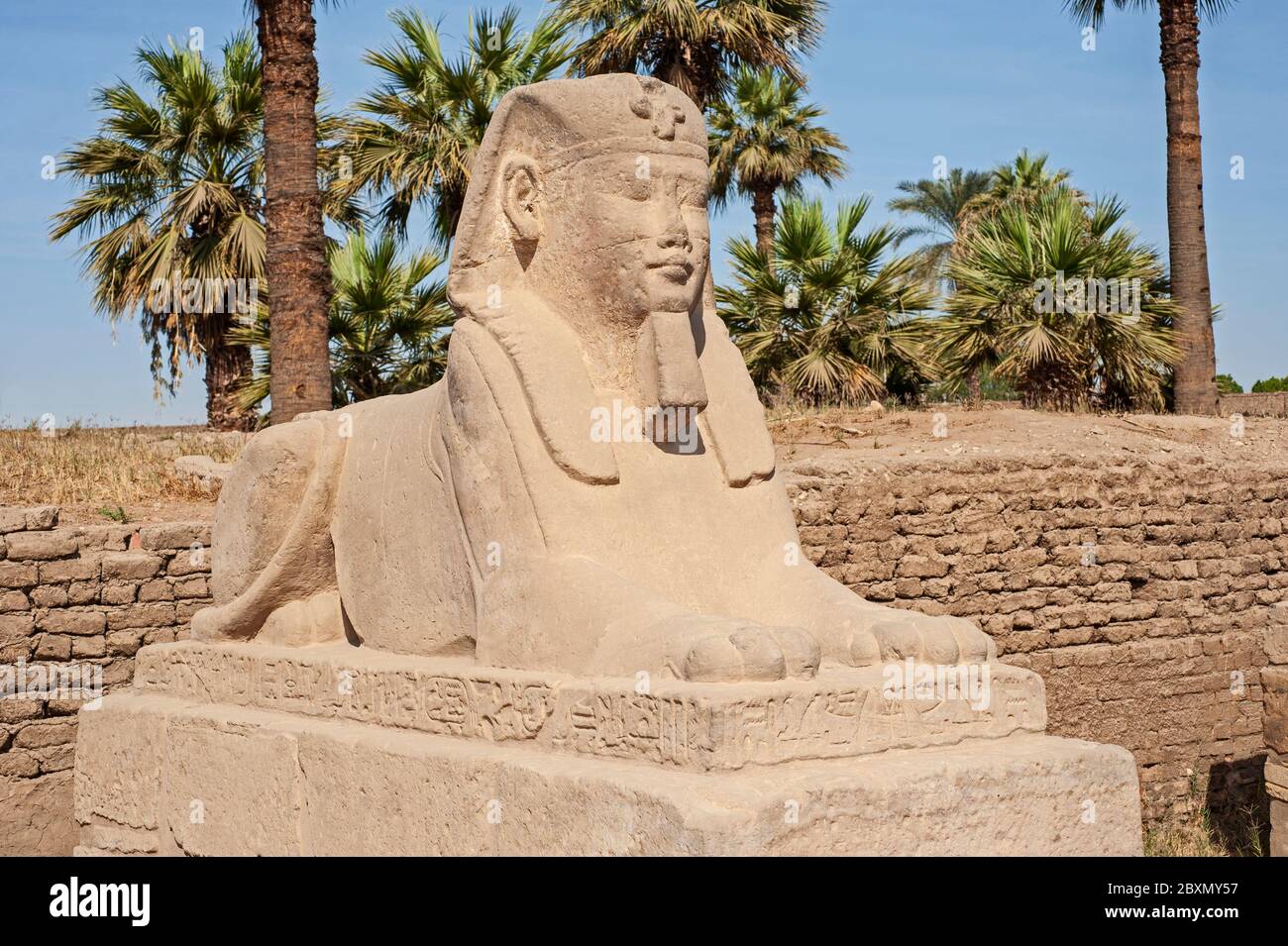 Sphinx égyptien antique sur fond bleu ciel avec palmier au temple de Louxor Banque D'Images