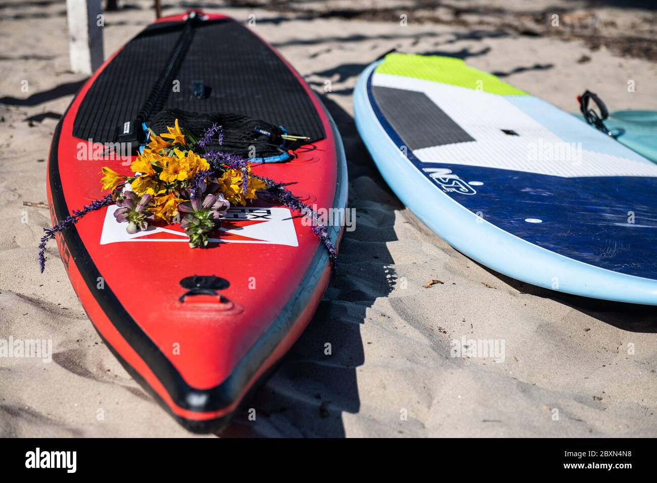 Santa Cruz, Californie 7 juin 2020. Fleurs sur une planche de surf lors d'une « pagayez » à la mémoire de George Floyd à Cowell Beach à Santa Cruz, Californie, le 7 juin 2020 après la mort de George Floyd. Crédit : Chris Tuite/espace d'image/Punch média/Alamy Live News Banque D'Images