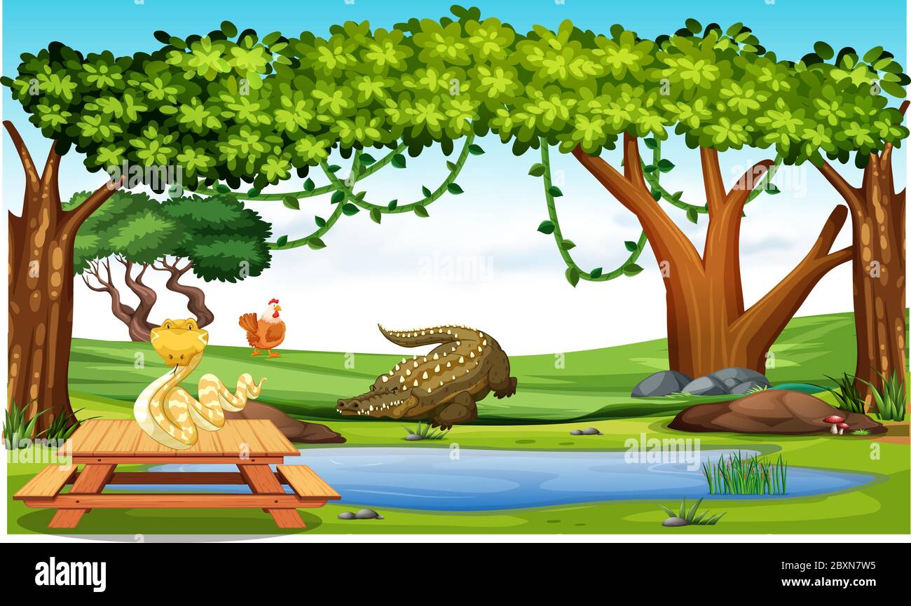 les animaux jouent dans une forêt et boivent de l'eau Illustration de Vecteur