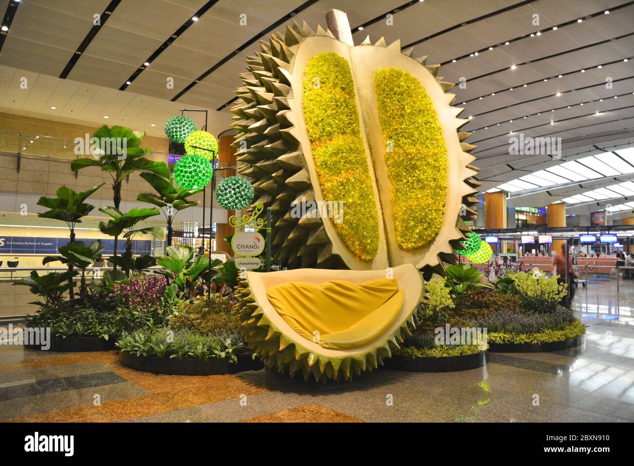 SINGAPOUR - 7 OCTOBRE 2015 : hall de départs à l'aéroport de Changi Singapour. Canapé en forme de fruits durian et décoration de jardin. Banque D'Images