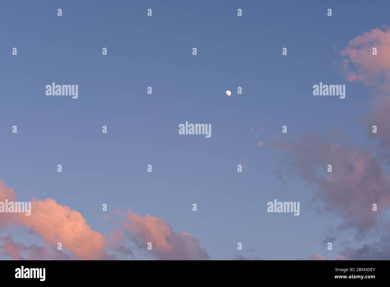 Le ciel au coucher du soleil. Ciel bleu, nuages roses de vanille et la lune. Banque D'Images