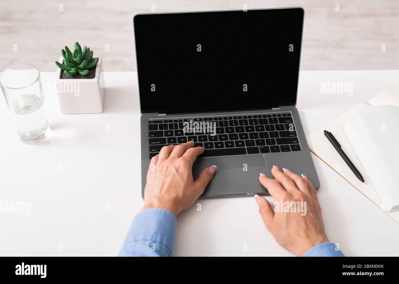 Travailler avec des documents et des graphiques. Femme mature mains travailler un ordinateur portable Banque D'Images