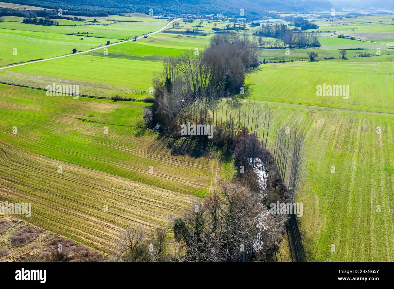Ferme de céréales dans une plaine et lit de rivière avec des peupliers. Banque D'Images