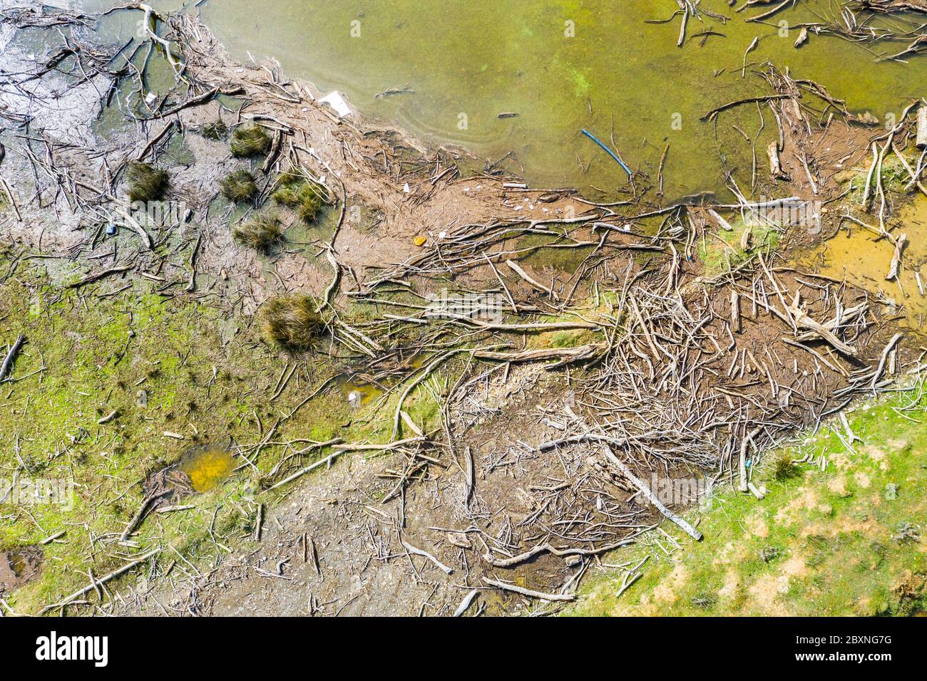 Arbres morts sur une rive. Vue aérienne. Banque D'Images