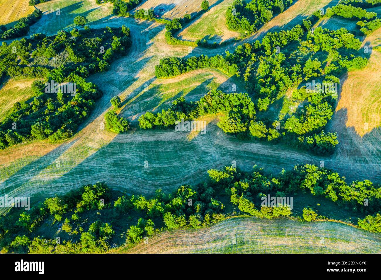 Terres agricoles avec céréales et cosse. Banque D'Images