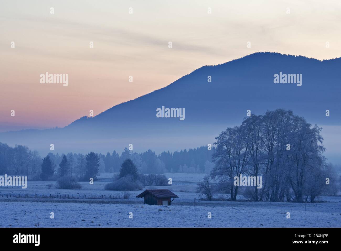matin d'hiver en bavière avant-alpes, allemagne Banque D'Images
